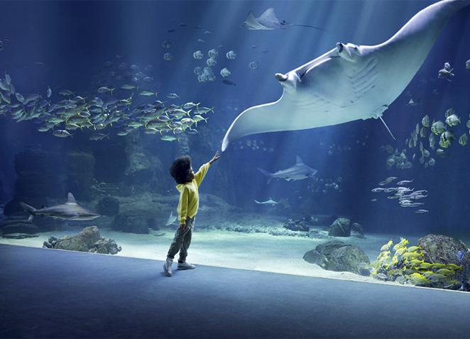 Nausicaa, centre National de la mer à Boulogne-sur-Mer